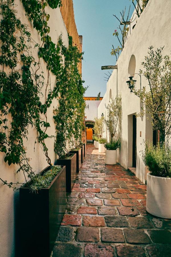 Meson Hidalgo Otel San Miguel de Allende Dış mekan fotoğraf